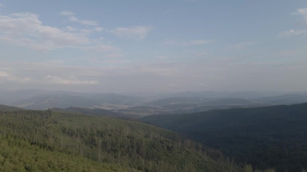 Zdjęcie Lotnicze Pary Rowerów Górskich Jeżdżącej Rowerze Letnim Krajobrazie Gór — Wideo stockowe