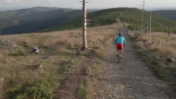 Jazda Rowerze Mtb Enduro Ścieżka Przepływu Zajęcia Sportowe Świeżym Powietrzu — Wideo stockowe