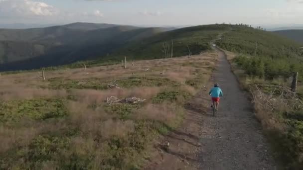 Jazda Rowerze Mtb Enduro Ścieżka Przepływu Zajęcia Sportowe Świeżym Powietrzu — Wideo stockowe