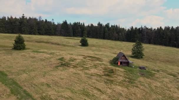 Letecký Pohled Horskou Louku Slunečného Letního Dne Beskidy Krawcow Wierch — Stock video