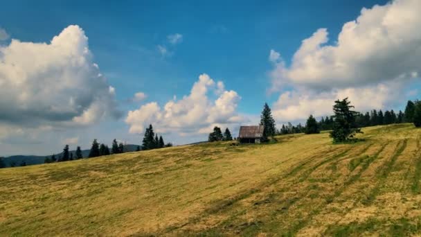 Widok Lotu Ptaka Łąkę Słoneczny Letni Dzień Beskidach Krawcow Wierch — Wideo stockowe