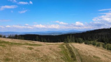 Beskidy, Hala Radziechowska, Polonya 'da güneşli bir yaz gününde çayırların üzerinden uçuyor.
