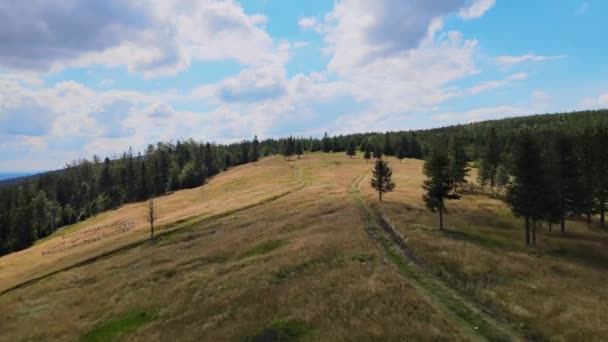 Volando Sobre Prado Montaña Soleado Día Verano Beskidy Hala Radziechowska — Vídeos de Stock