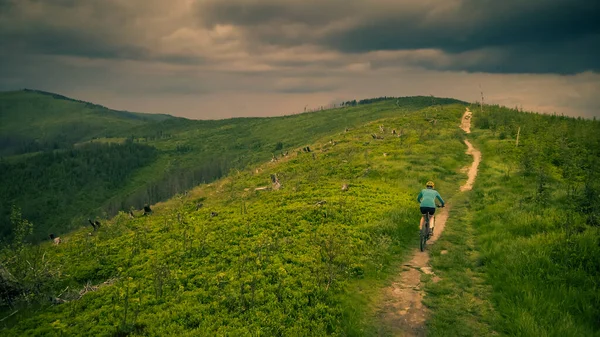 Воздушный Кадр Женщины Горного Велосипеда Катающейся Велосипеде Летних Горах Пейзажа — стоковое фото