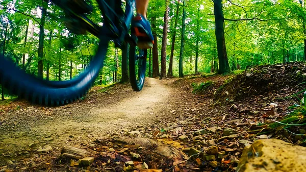 Ciclismo Homem Andando Bicicleta Pôr Sol Montanhas Paisagem Florestal Trilha — Fotografia de Stock