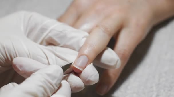 Mujer haciéndose manicura de uñas. Prepárese para el recubrimiento de barniz . — Vídeo de stock