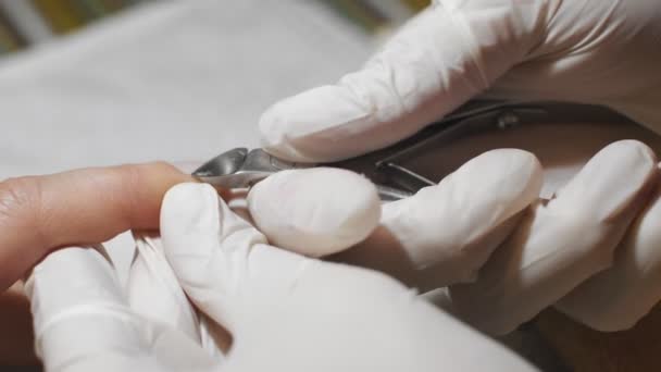 Mujer haciéndose manicura de uñas. Prepárese para el recubrimiento de barniz . — Vídeo de stock