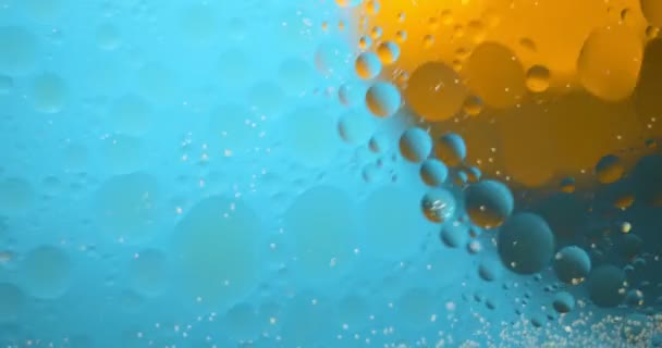 Абстрактний фон з олійних плям . — стокове відео