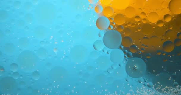 Abstrakter Hintergrund von fließenden Ölflecken. — Stockvideo