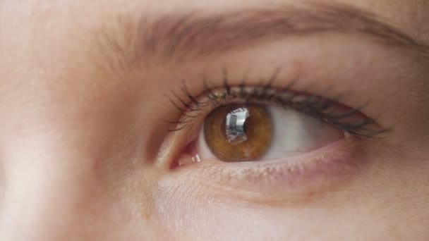 Dames oog close-up rondkijken. — Stockvideo