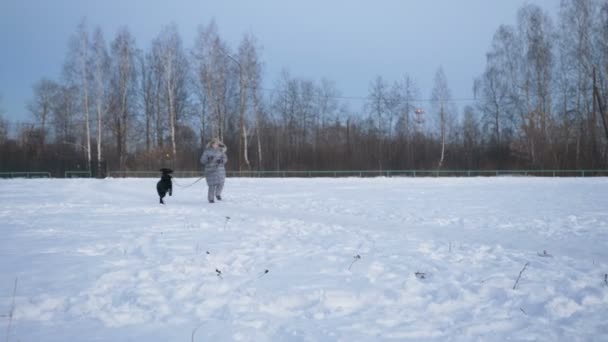 Niña jugando con el perro en invierno . — Vídeo de stock
