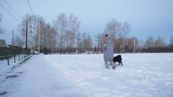 Liten flicka som leker med hunden i vinter. — Stockvideo