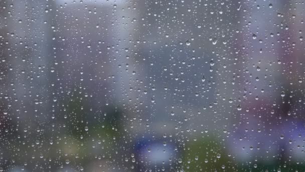 Lluvia corriendo por la ventana . — Vídeo de stock