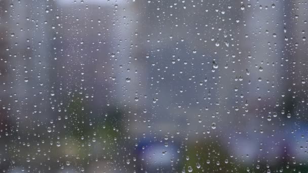 Βροχή κυλάει το παράθυρο. — Αρχείο Βίντεο