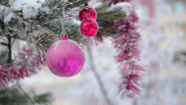 Boule de jouets suspendue à une branche d'épinette en hiver à l'extérieur . — Video