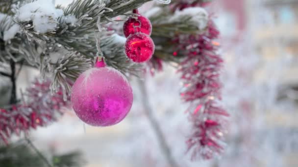 Игрушечный шар висит на еловой ветке зимой на открытом воздухе . — стоковое видео