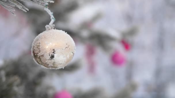 Boule de jouets suspendue à une branche d'épinette en hiver à l'extérieur . — Video