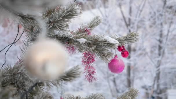 Boule de jouets suspendue à une branche d'épinette en hiver à l'extérieur . — Video