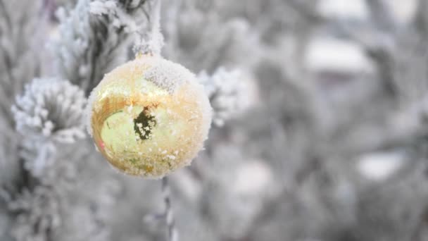 Іграшковий м'яч висить на гілці ялини взимку на відкритому повітрі . — стокове відео