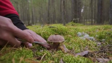 Yakın çekim bir bıçak mantar ile kesmek adam vurdu.