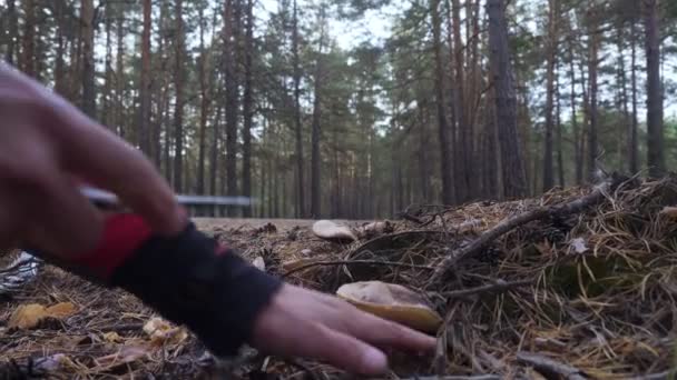 Gros plan sur un homme coupé avec un champignon couteau . — Video