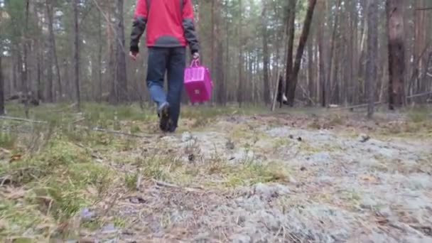 Mann mit Korb spaziert durch Nadelwald und sucht Pilze. — Stockvideo