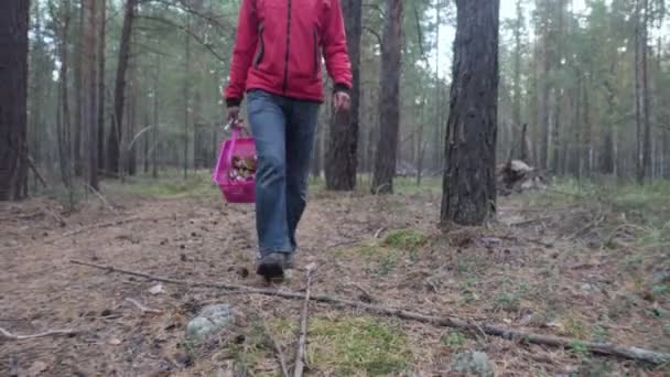 Man Met Een Mand Een Mes Wandelingen Het Naaldhout Bos — Stockvideo