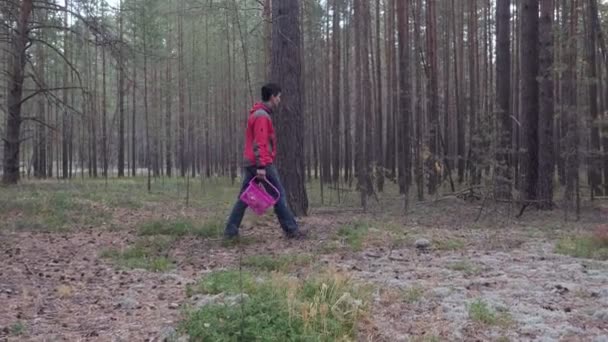 Mann mit Korb spaziert durch Nadelwald und sucht Pilze. — Stockvideo