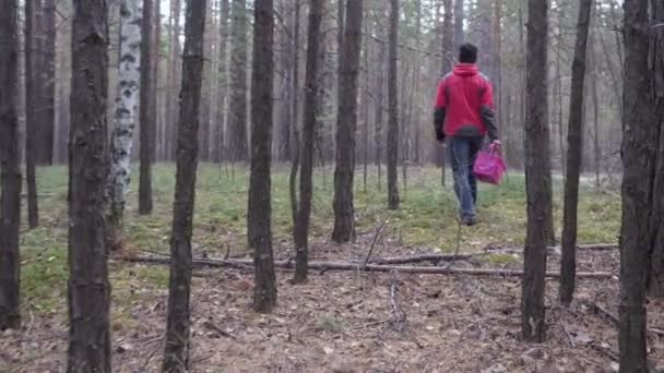 Homme avec un panier se promène dans la forêt de conifères et cherche des champignons . — Video