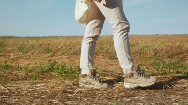 Gambe donna irriconoscibili che camminano nel campo autunnale . — Video Stock