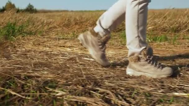 Onherkenbaar vrouw benen lopen in najaar veld. — Stockvideo