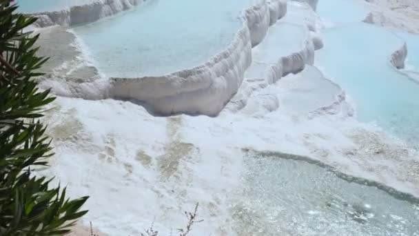 Travertinen mit türkisfarbenem Wasser in Pamukkale. — Stockvideo