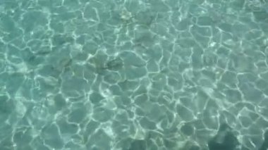 Caustics parlayan ile mavi su.