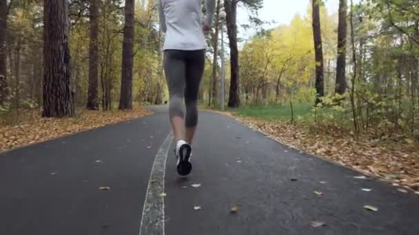 Νεαρή γυναίκα σπορ τρέξιμο στο πάρκο φθινόπωρο. — Αρχείο Βίντεο