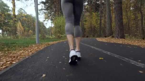 Mujer rubia joven corriendo en el parque de otoño . — Vídeos de Stock