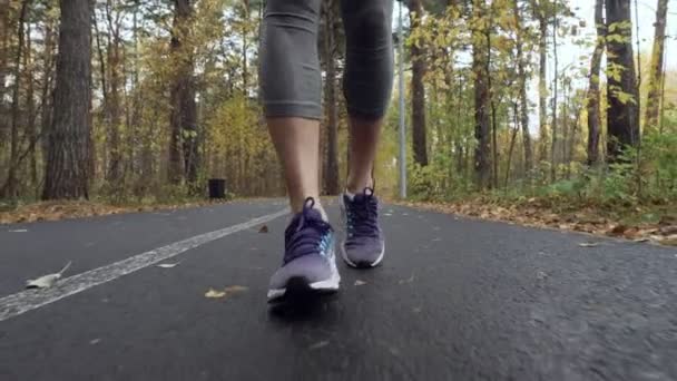 Woman running in the autumn park. — Stock Video