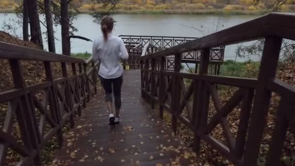 Vista trasera de la mujer deportiva corriendo por las escaleras . — Vídeos de Stock