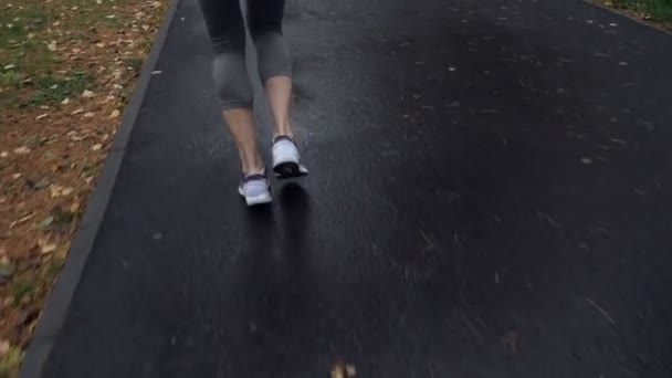 Joven mujer deportiva corriendo en el parque de otoño . — Vídeos de Stock