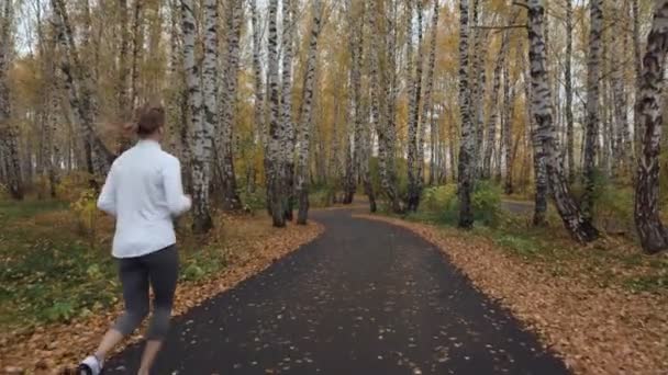 Sportliche junge Frau läuft im Herbstpark. — Stockvideo