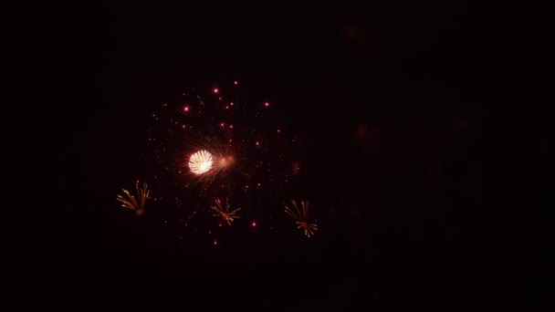 Geweldige vuurwerk 's nachts — Stockvideo