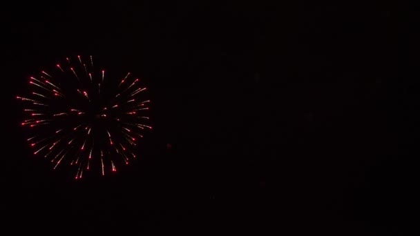 Fogos de artifício incríveis à noite — Vídeo de Stock