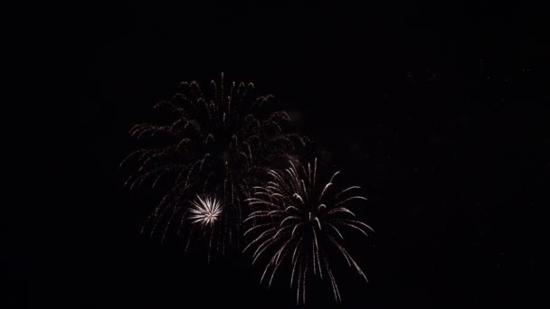 Erstaunliches Feuerwerk in der Nacht — Stockvideo