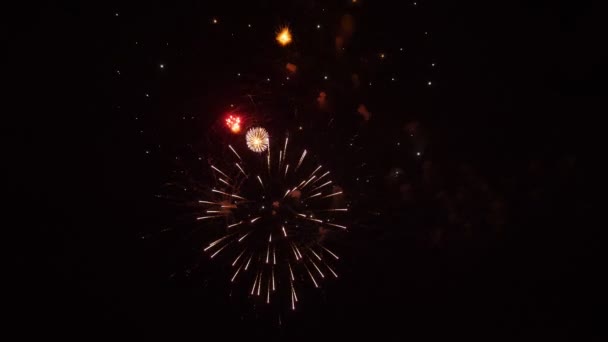 Fogos de artifício incríveis à noite — Vídeo de Stock