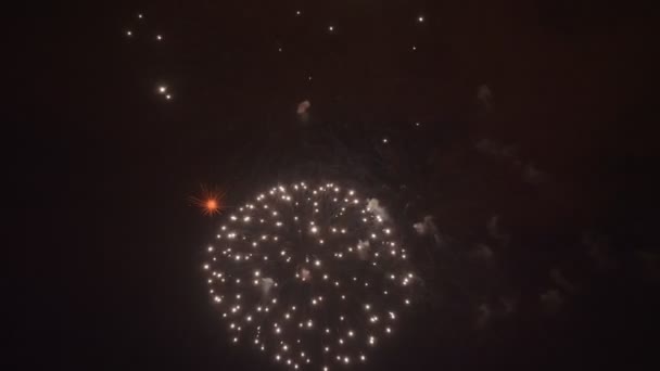 Geweldige vuurwerk 's nachts — Stockvideo