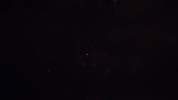 Изумительный фейерверк ночью — стоковое видео