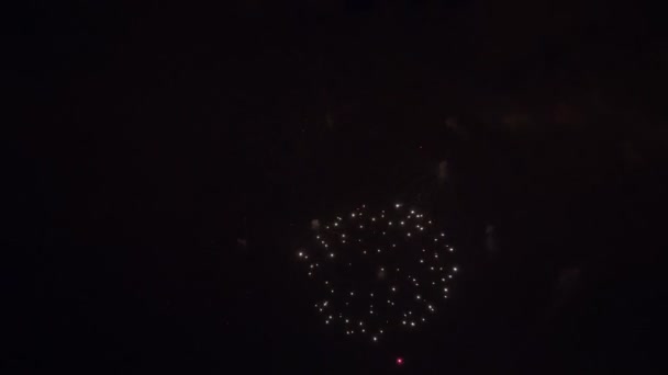 Erstaunliches Feuerwerk in der Nacht — Stockvideo