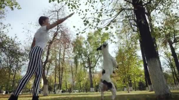 Genç kadın eğitim siyah ve beyaz köpek Stafford içinde the Park. — Stok video