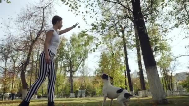 Jonge vrouw opleiding zwart-wit hond Stafford in het Park. — Stockvideo