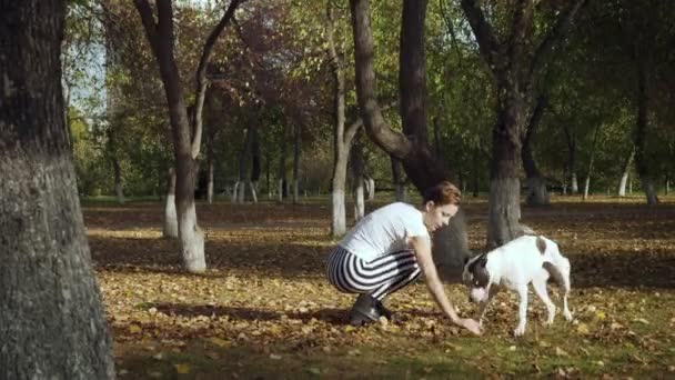 Ung kvinna utbildning svart och vit hund Stafford i parken. — Stockvideo