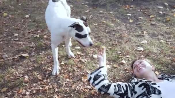 Wanita berbaring di tanah dan bermain dengan anjing stafford nya . — Stok Video